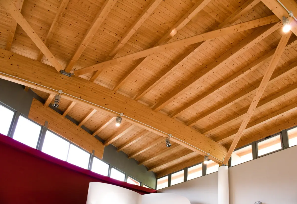 Tetto in legno contemporaneo con finestre VELUX